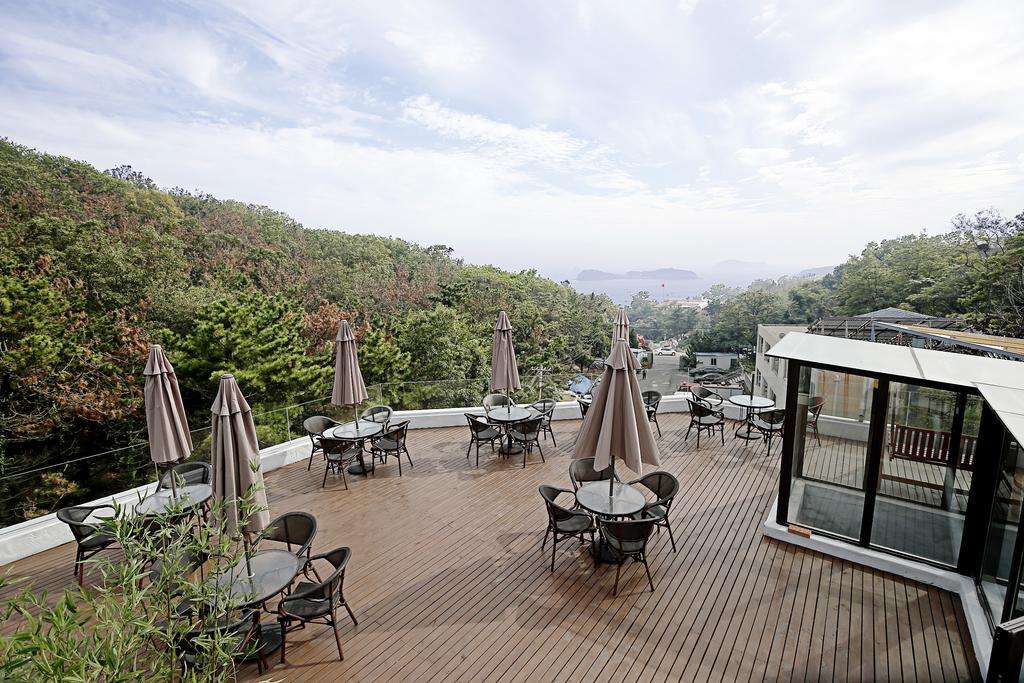 了不起的考拉......