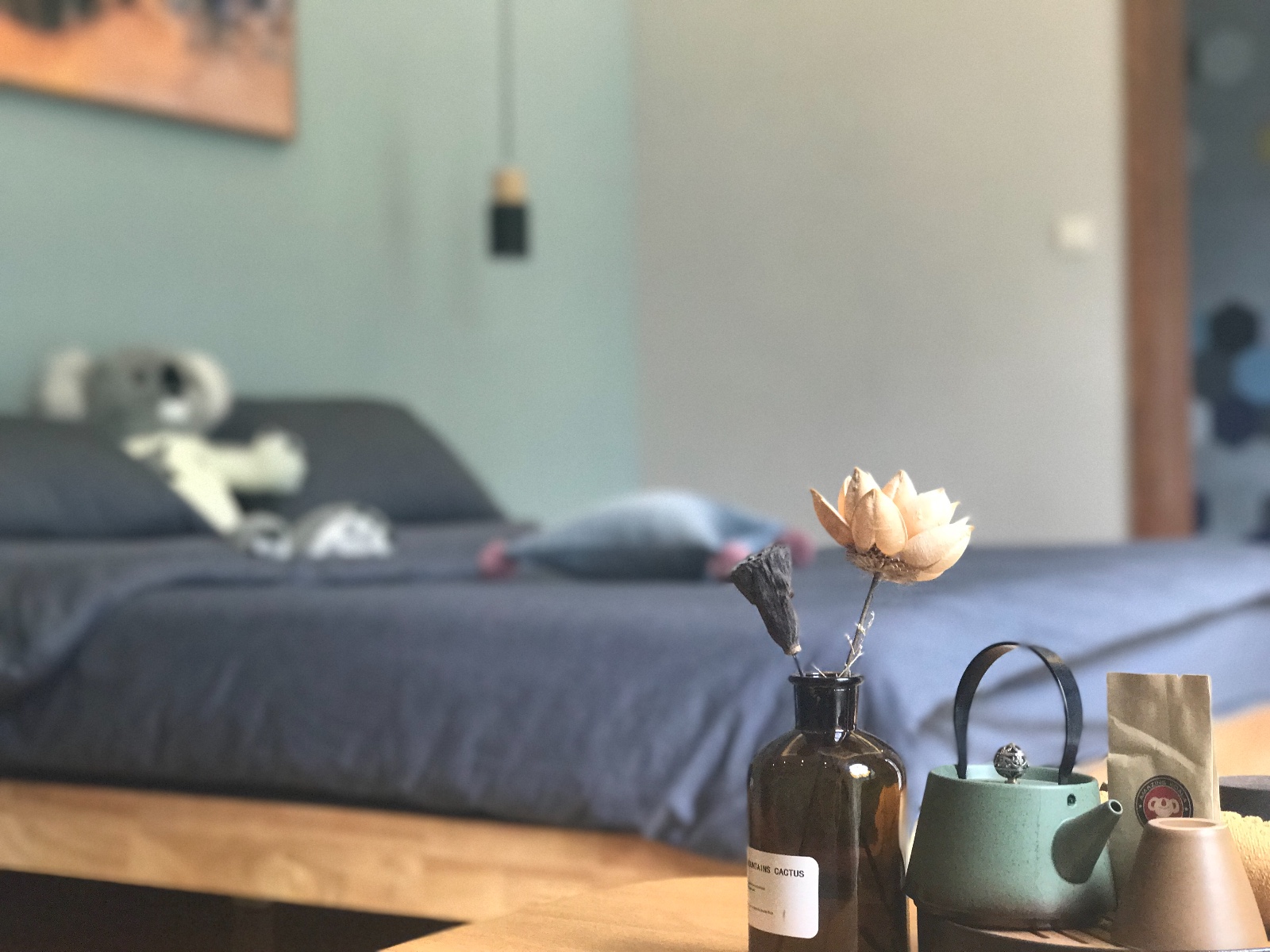 了不起的考拉......